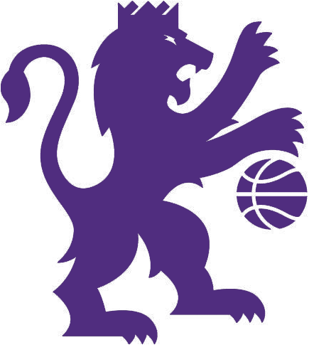 Sacramento Kings 2016-Pres Alternate Logo iron on heat transfer v4